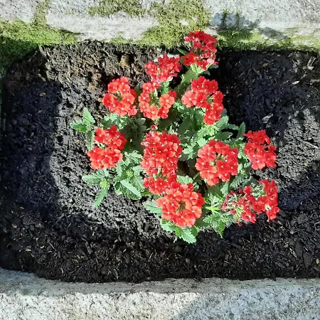 別荘 La Casetta Di Bianca リッコ・デル・ゴルフォ・ディ・スペーツィア