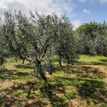 La Casetta Di Bianca