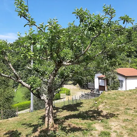 別荘 La Casetta Di Bianca リッコ・デル・ゴルフォ・ディ・スペーツィア