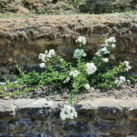 La Casetta Di Bianca Holiday home