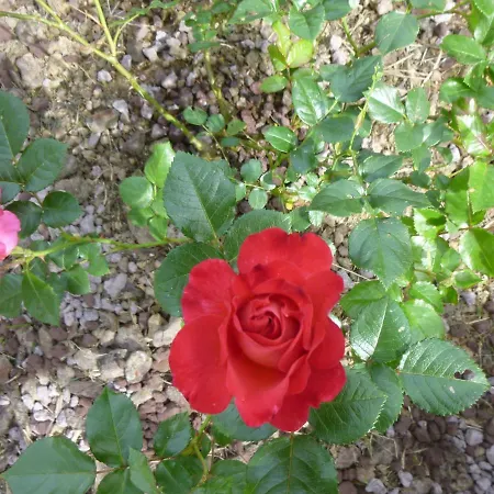 La Casetta Di Bianca * ريكو ديل غولفو دي سبيزيا