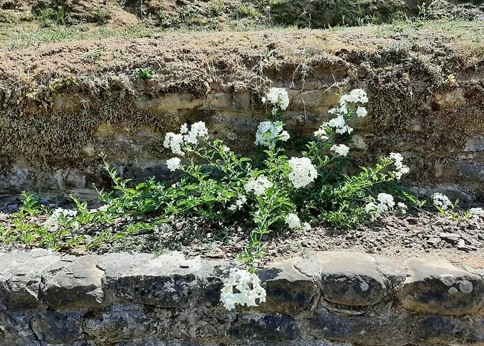 La Casetta Di Bianca Feriehus