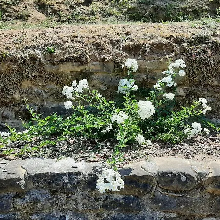 La Casetta Di Bianca Ferienhaus