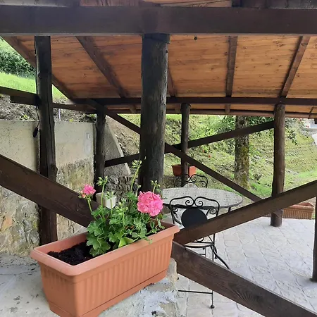 La Casetta Di Bianca Riccο del Golfo di Spezia