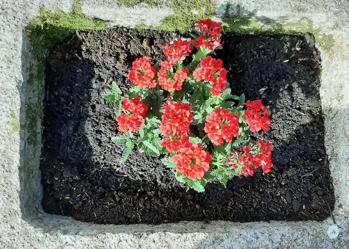 Hébergement de vacances La Casetta Di Bianca Riccò del Golfo di Spezia