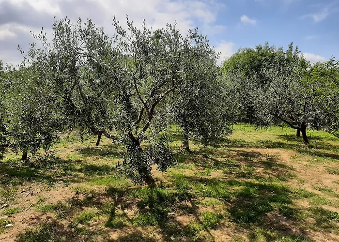 La Casetta Di Bianca