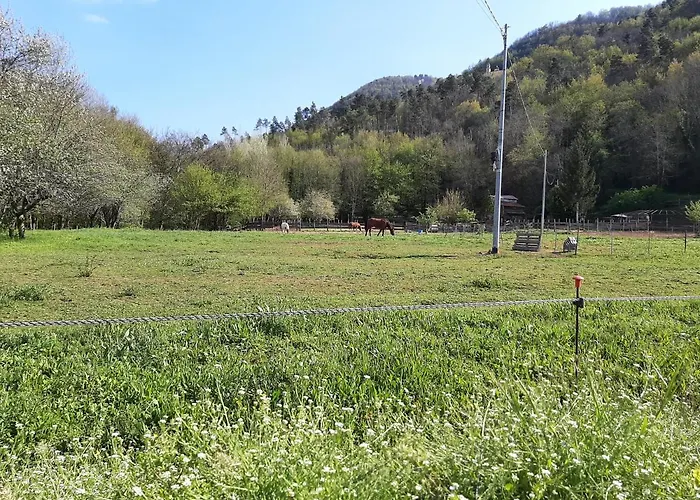 La Casetta Di Bianca * Riccò del Golfo di Spezia
