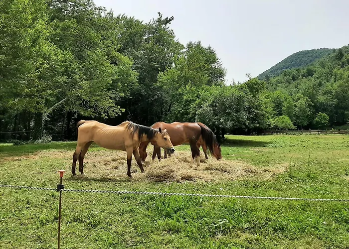 Hébergement de vacances La Casetta Di Bianca
